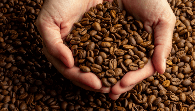 Sumber Kopi Prima